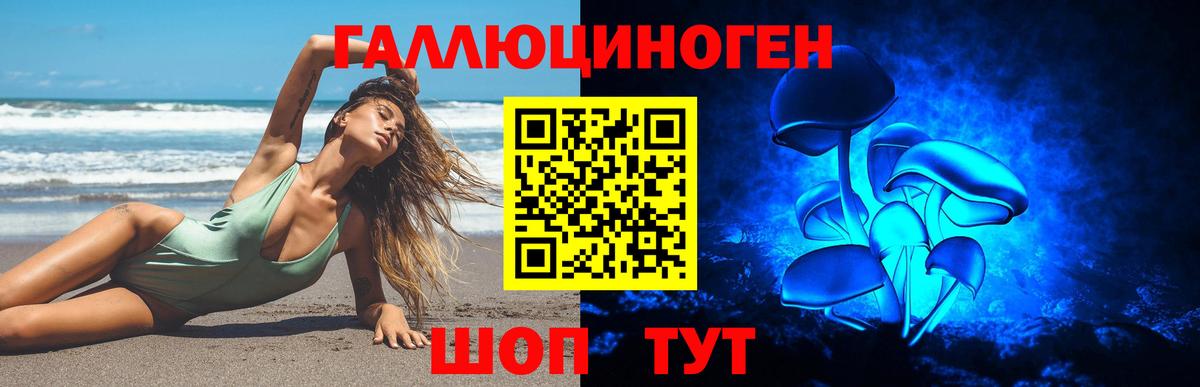 Псилоцибиновые грибы GOLDEN TEACHER Строитель